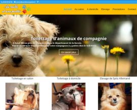 Au Mille et Une Pattes